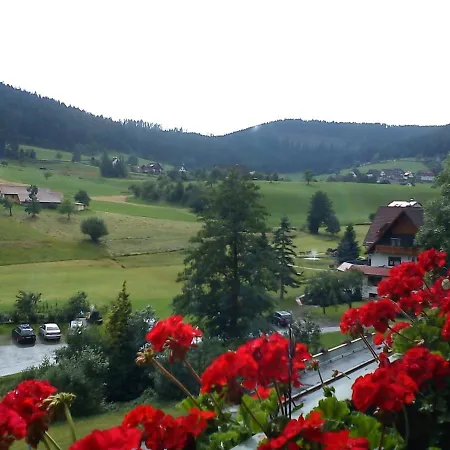 Schwarzwaldnest アパート