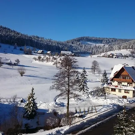 Schwarzwaldnest アパート バイアースブロン