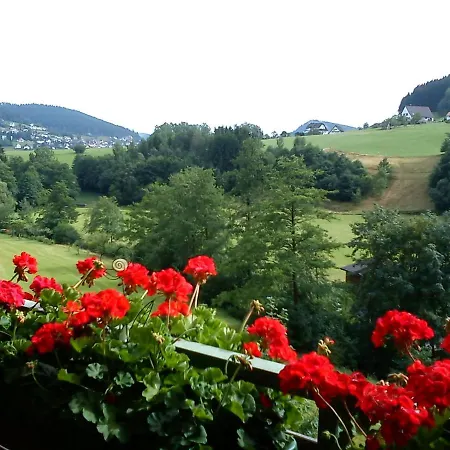 Schwarzwaldnest * Baiersbronn