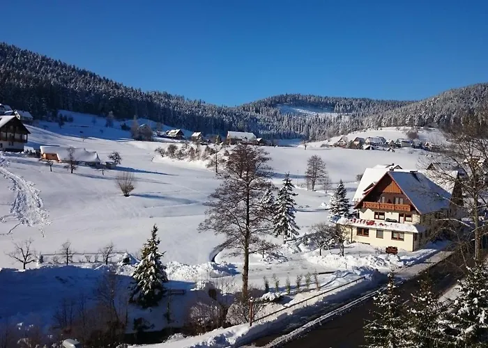 Schwarzwaldnest Appartement Baiersbronn